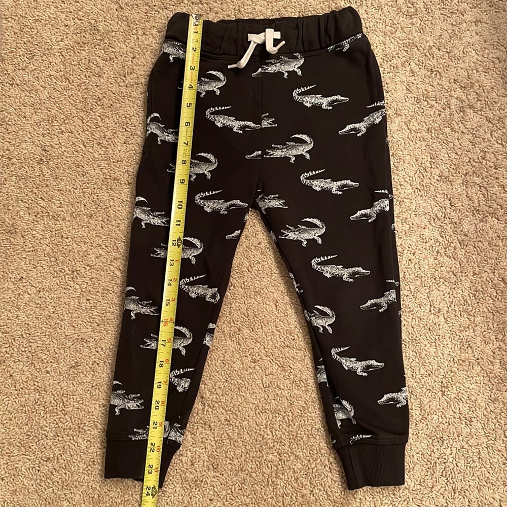 H&M alligator 🐊 joggers kids SZ 4/5